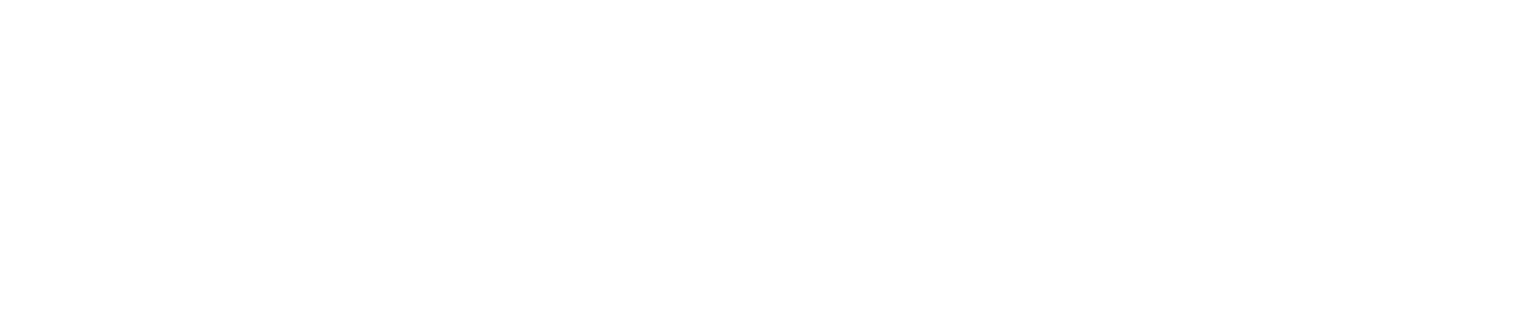 ST-logo-blue (1) (1)